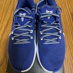 Kobe Mamba Fury Nike Kids Sneakers